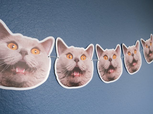 Pet Photo Banners - Dogs, Cats, Animals