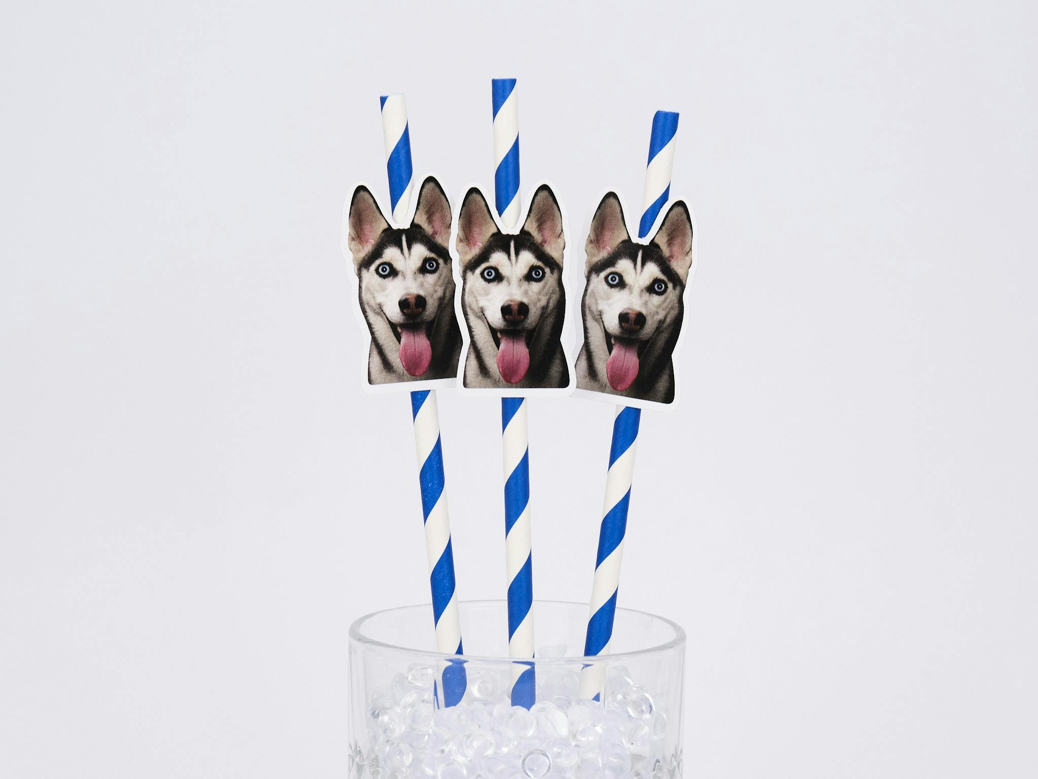 Custom Pet Photo Straws - Personalized Birthday Straws, Party Decorations - Image 4