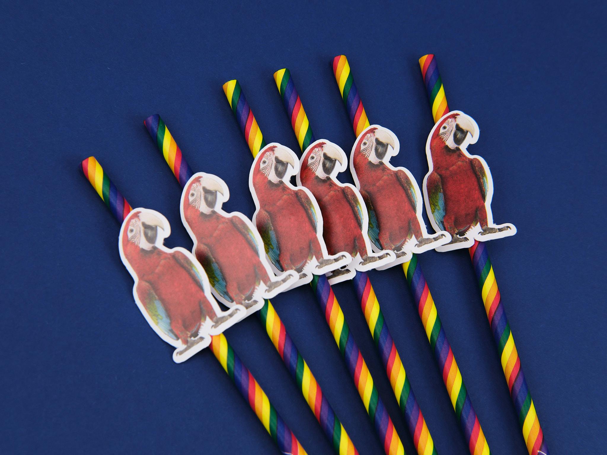 Custom Pet Photo Straws - Personalized Birthday Straws, Party Decorations - Image 6